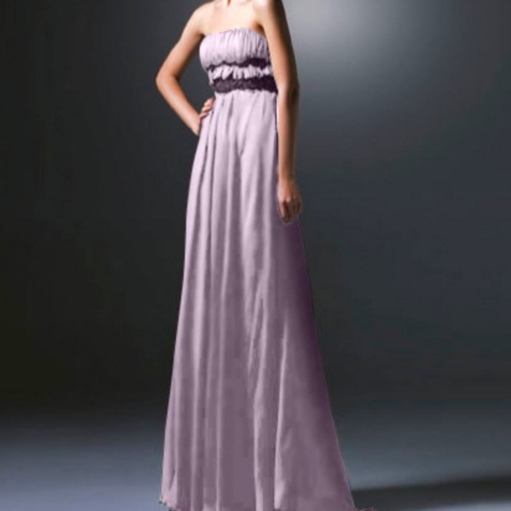 LOVE by Enzoani Sizes 6-10 Style A32 Color Blush Strapless Gown Retail Over $400